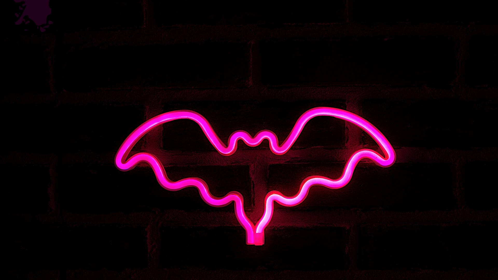 Neon Pink Aesthetic Wallpaper