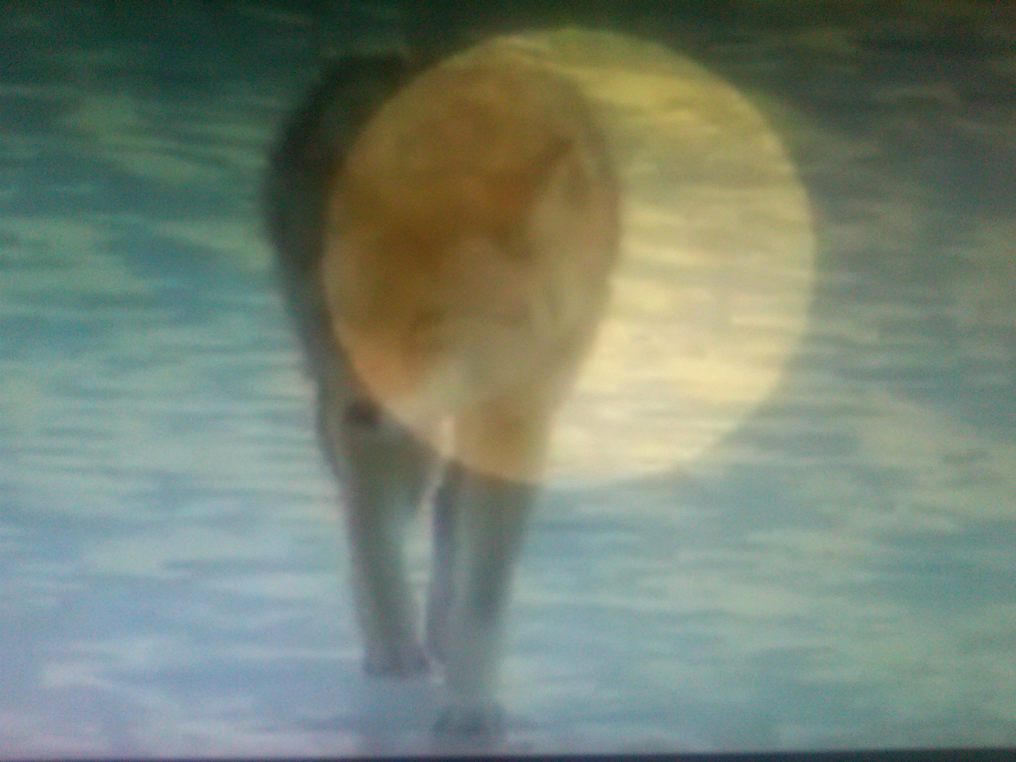 Life And Death Lakota Spiritual Practice Wilderutopia