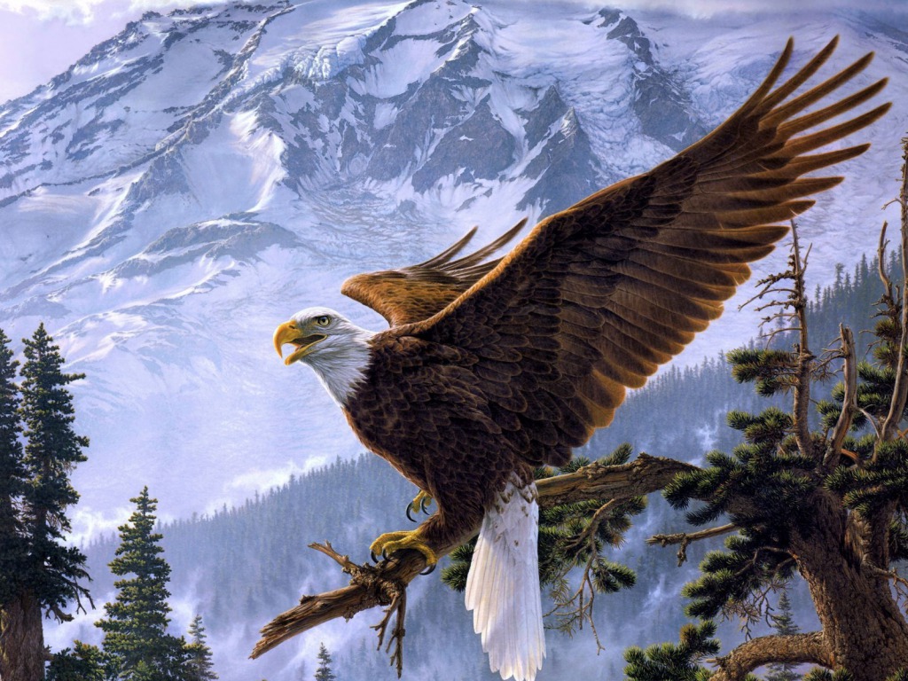 Eagle Desktop Wallpaper One HD Pictures Background