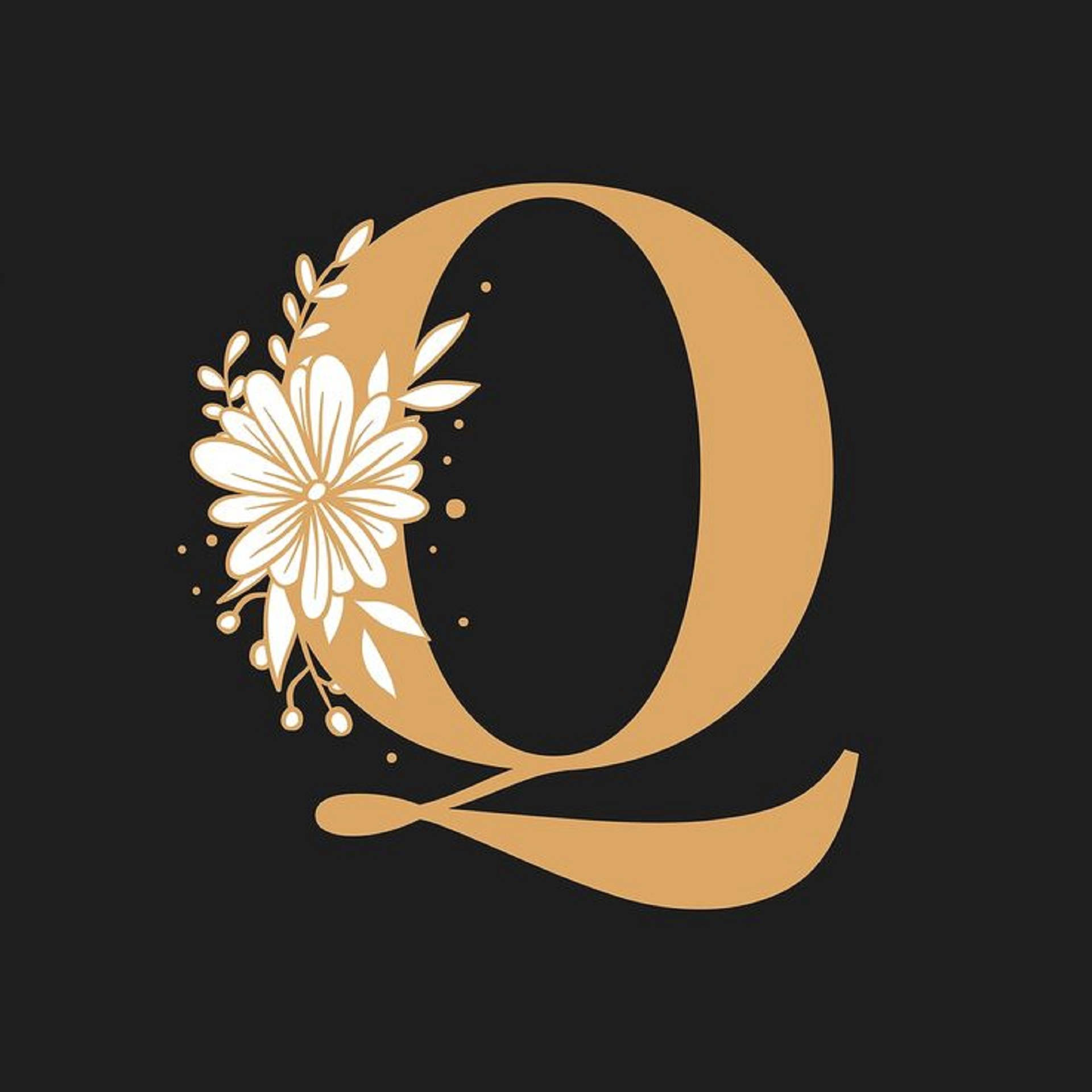 Top Letter Q Wallpaper Full HD 4k To Use