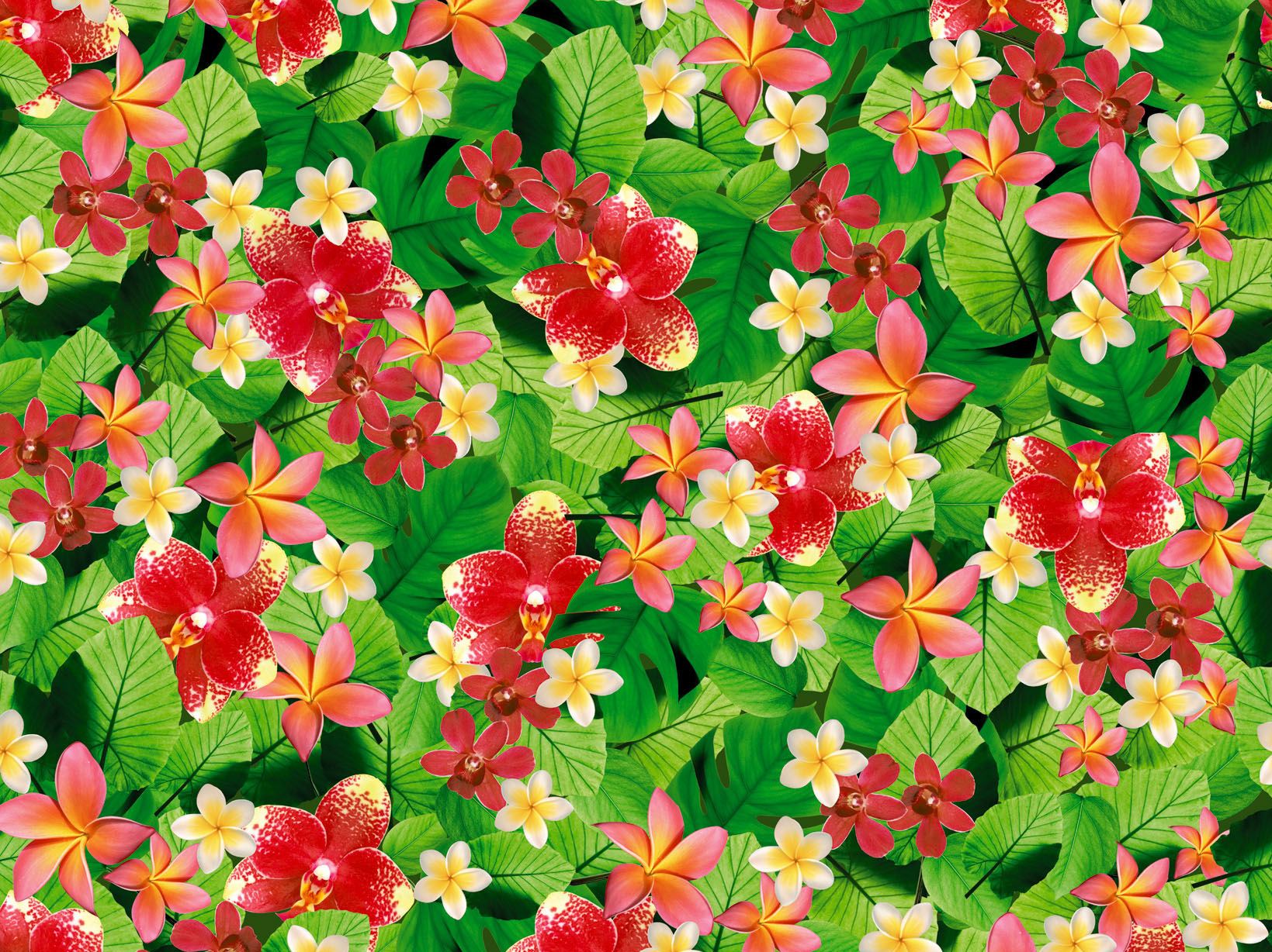 tropical wallpaper pattern wallpaper natu