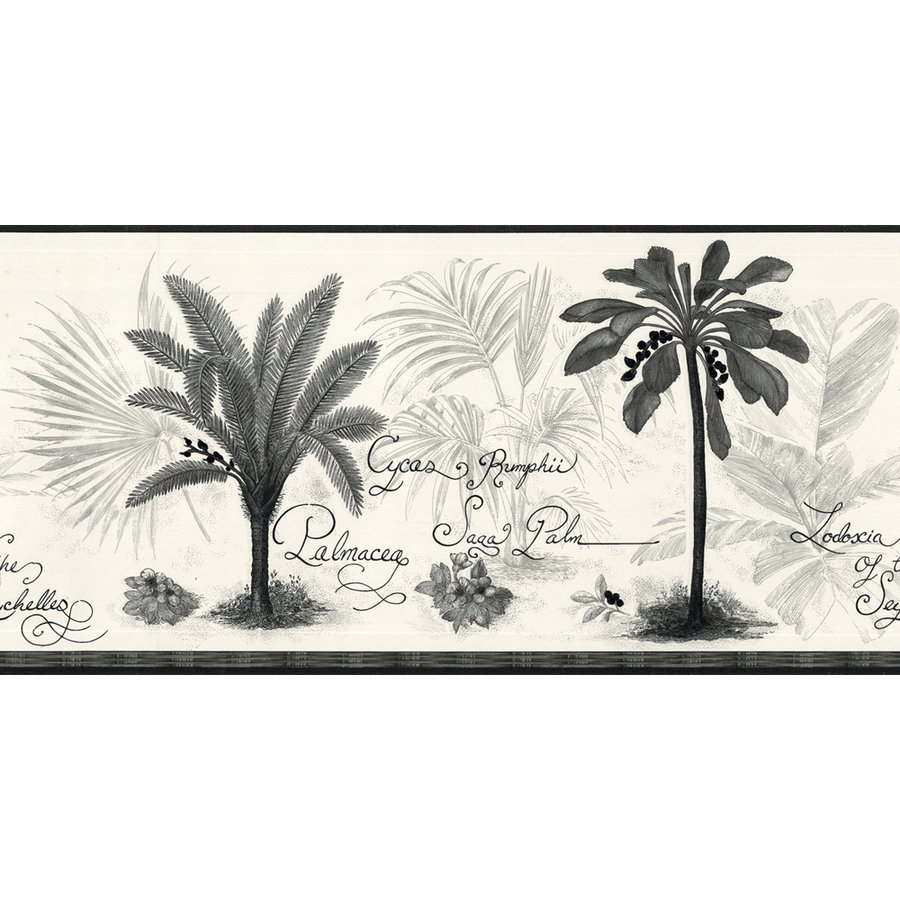 Black And White Palm Tree Prepasted Wallpaper Border At Lowes