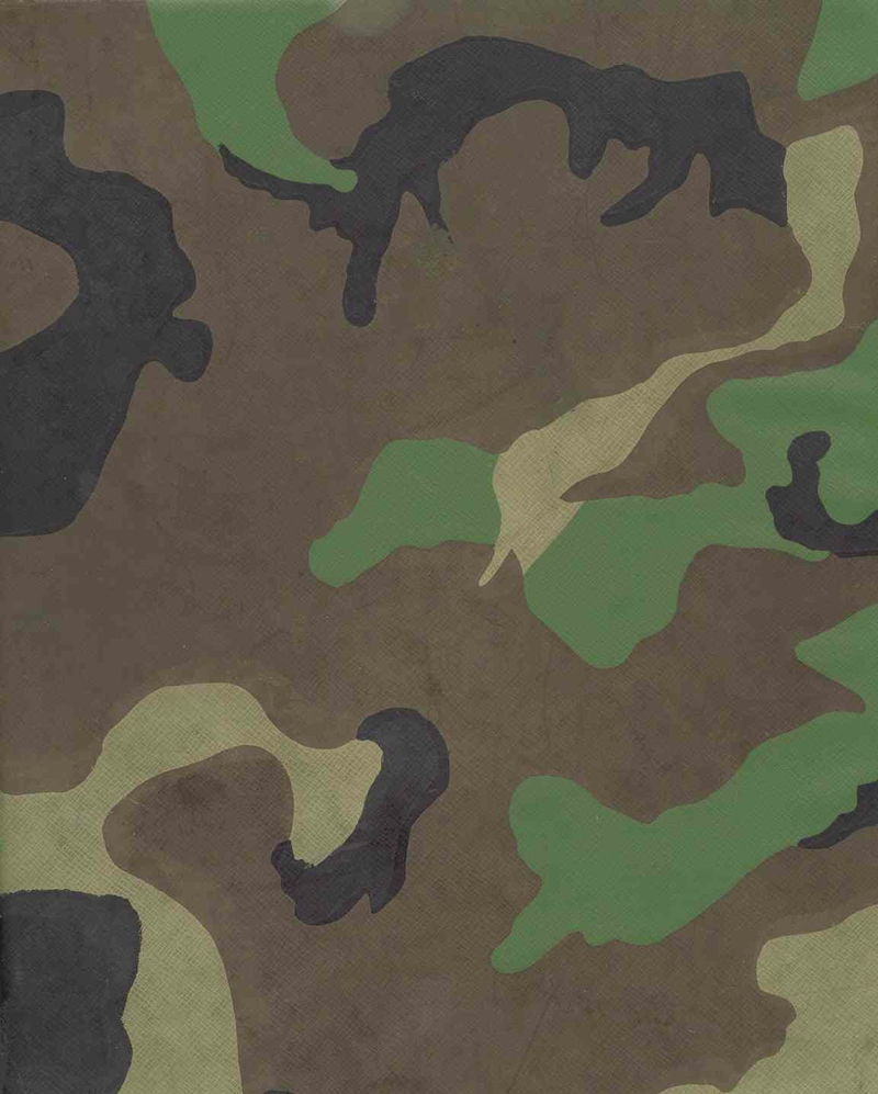 Camoany Good Camo Wallpaper Out There Google Search Failed Me