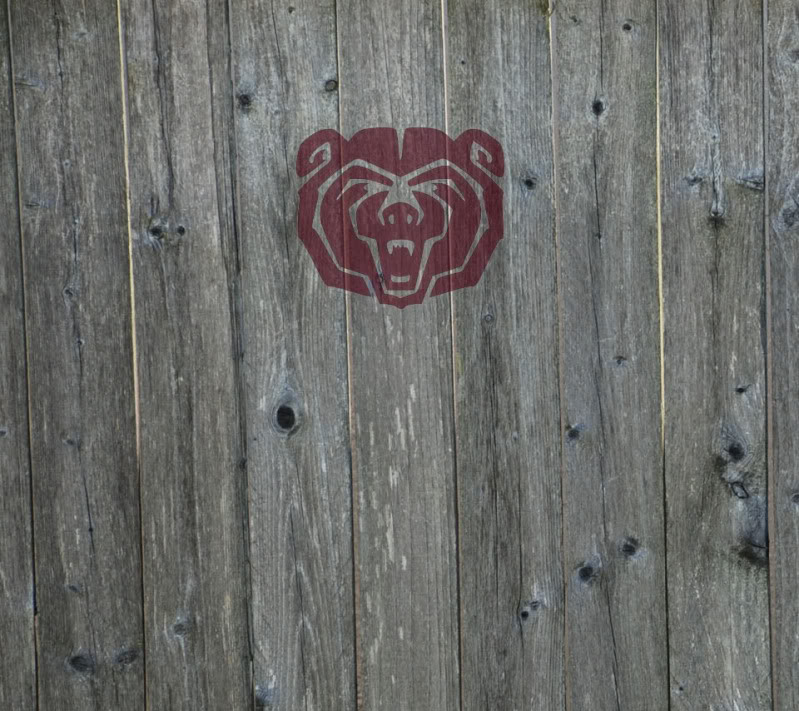 Southern Missouri State Bear Wallpaper
