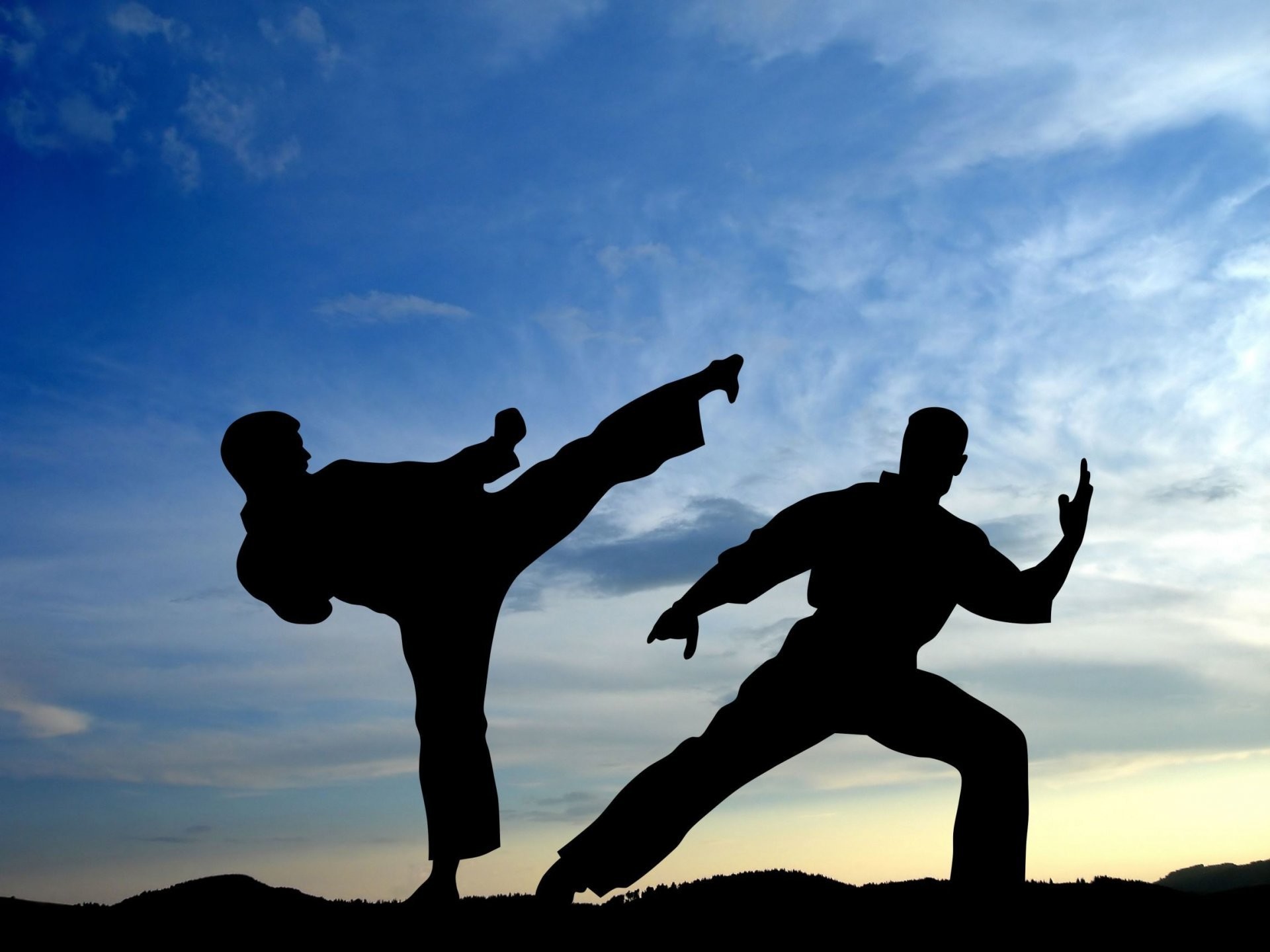 Silhouettes of two martial artists sparring against a vibrant sunset sky