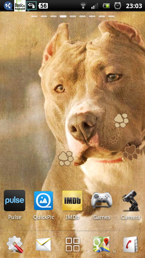 Download Pitbull dogs Live Wallpaper free for your Android phone