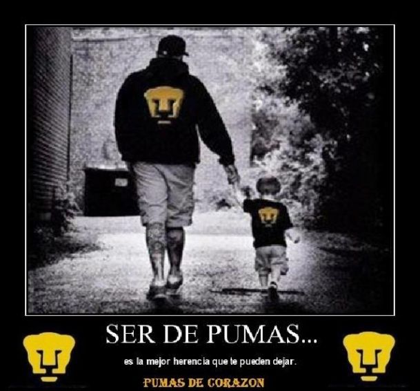 Herencia Puma Por Pum4d3k0r4z0n Wallpaper Fotos De Pumas Unam