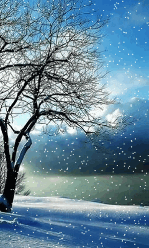 Winter Wallpaper And Screensaver Pack From Bing HD