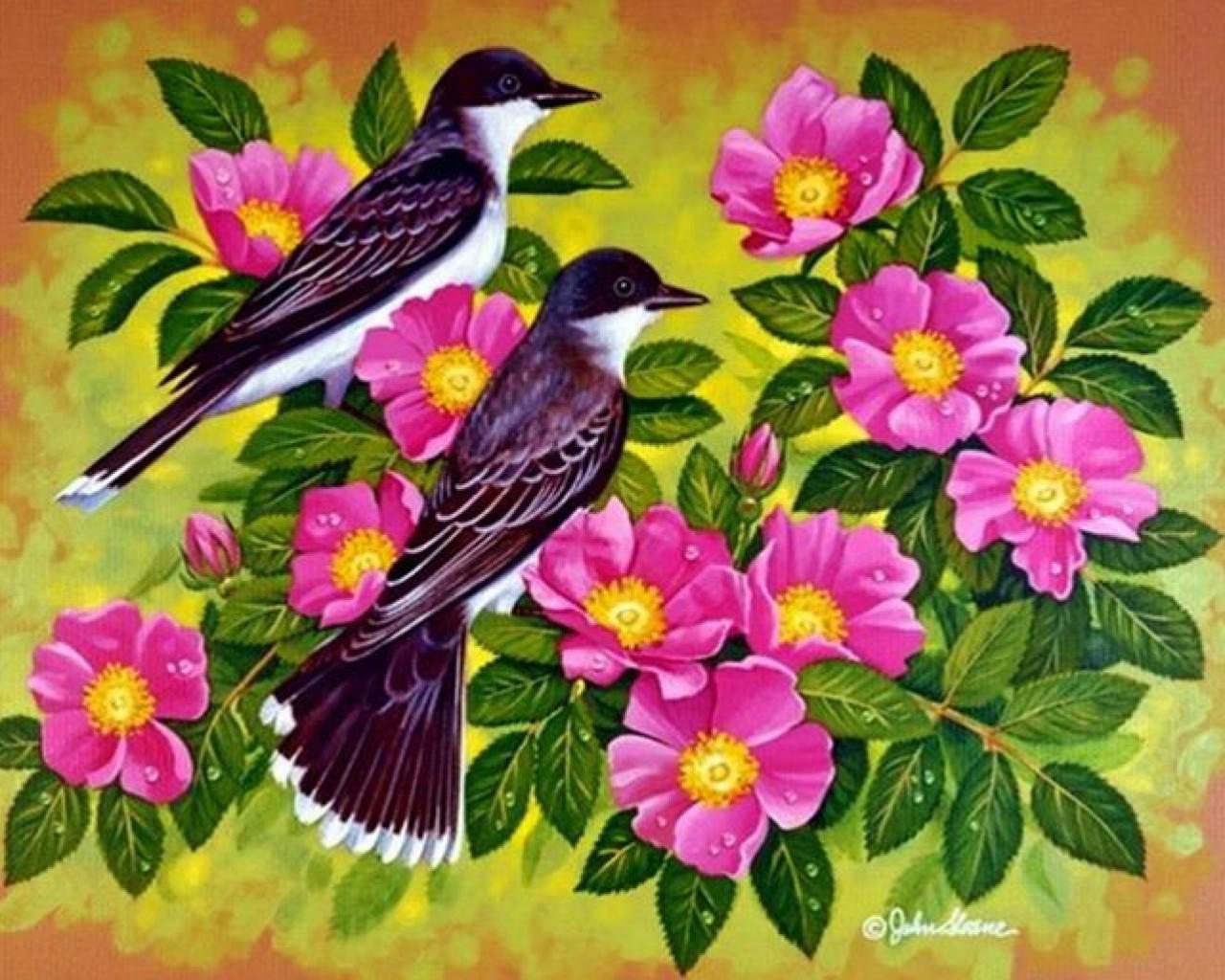 Birds And Flowers High Quality Resolution Wallpaper