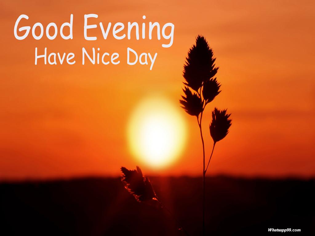 Good Evening Have A Nice Day Image HD Fine Wallpaper