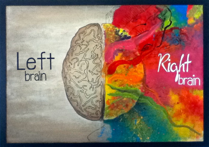 Illustration of a human brain, top view. Different halves of the human brain.  The creative half and logical half of the human mind. - Stock Image -  Everypixel