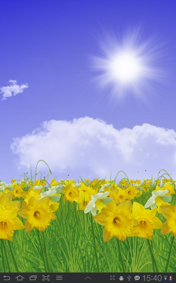 Daffodils Live Wallpaper Android Apps On Google Play