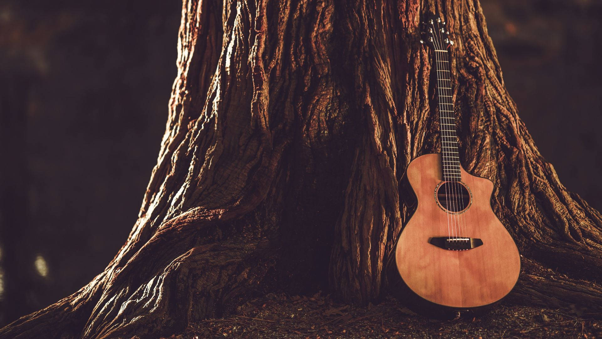 Acoustic Guitar Wallpaper