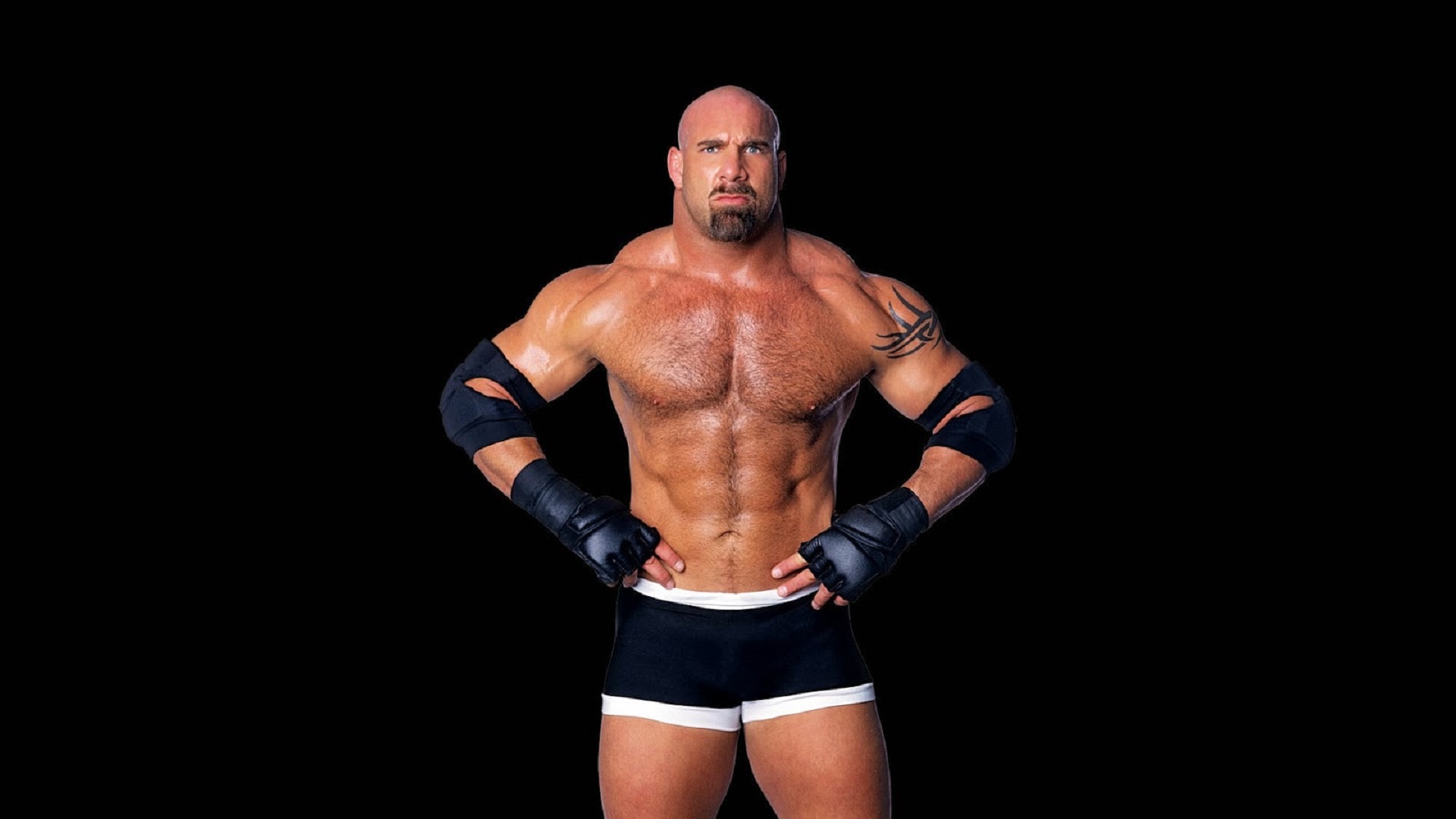 Bill Goldberg Wallpaper Image Photos Pictures Background