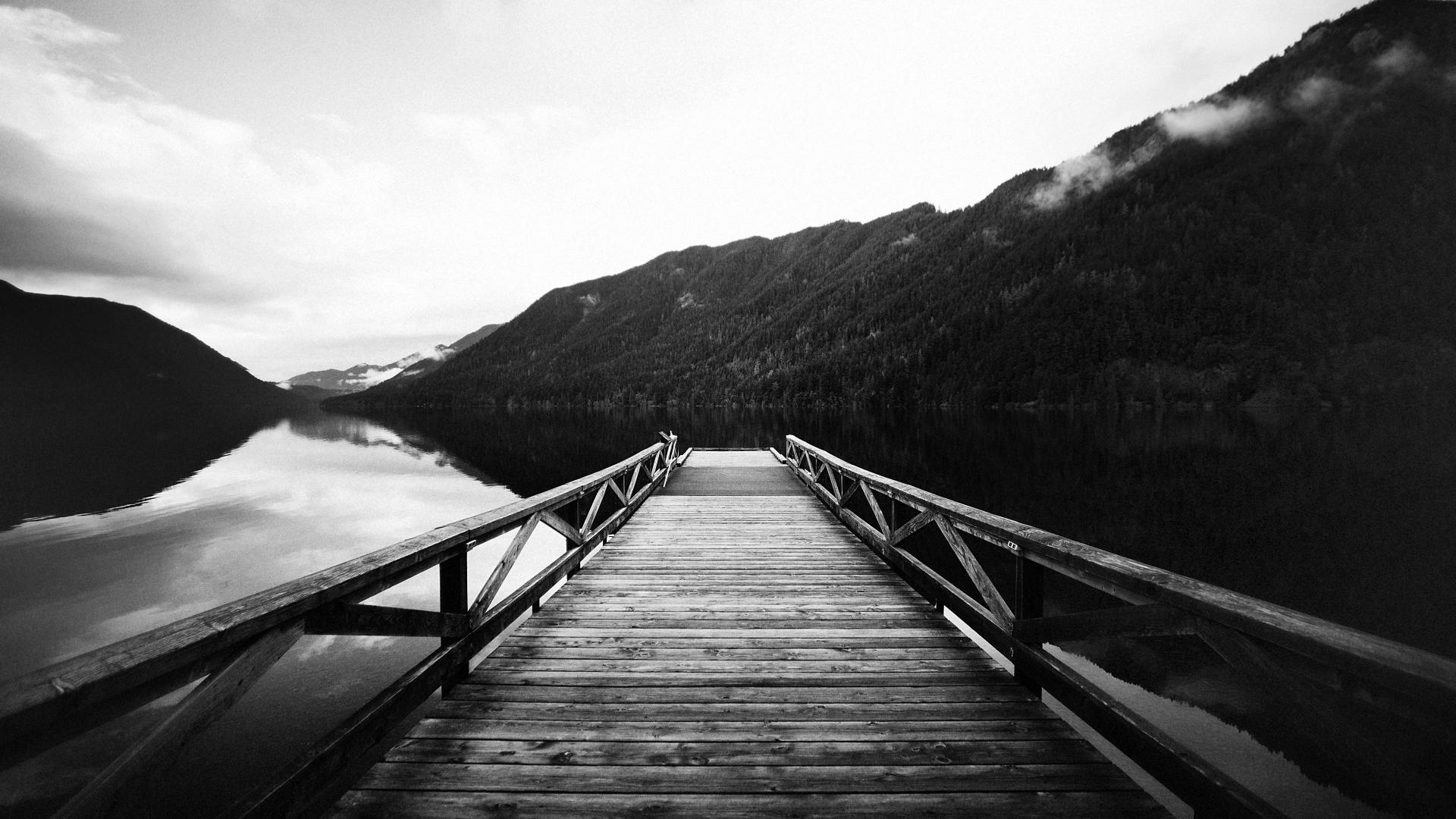 Black And White Nature Wallpaper WallpaperSafari