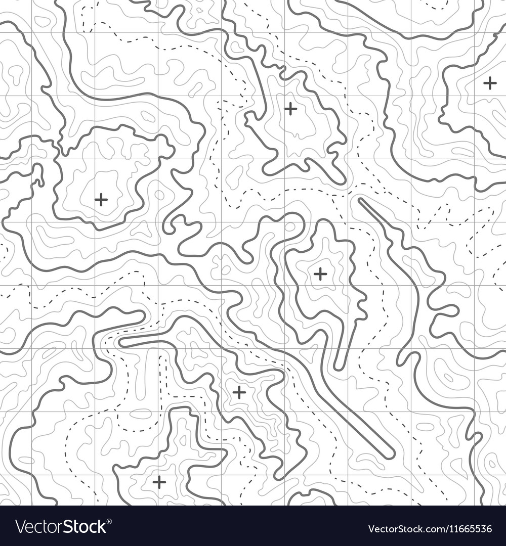 Topographic Map Background With Mountain Vector Image