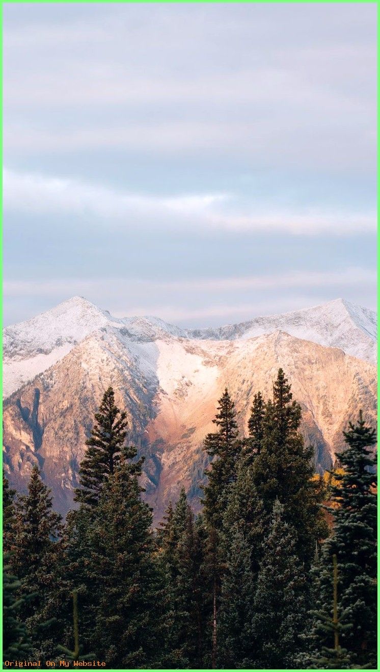 Hintergrundbilder iPhone Wallpaper W Ste Palmen Fernweh