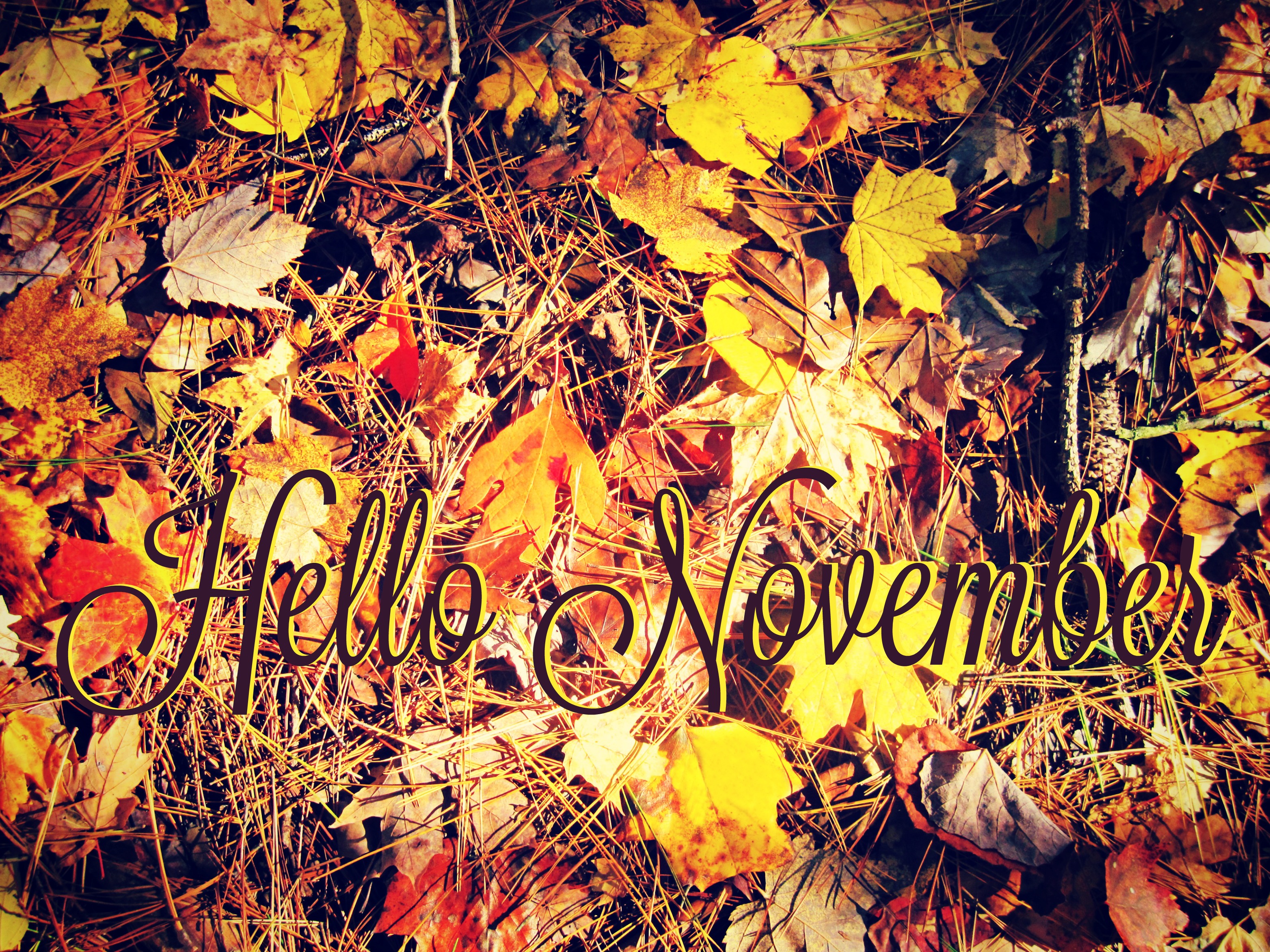 Hello November HD Wallpaper