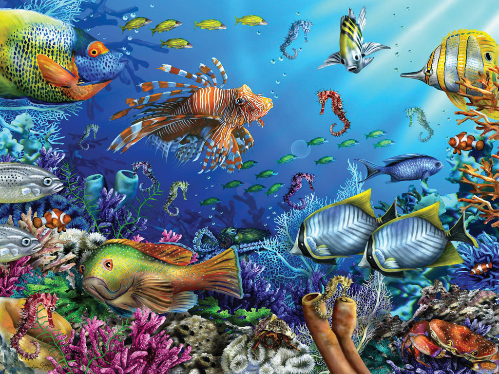 Marine Life On The Reef Wallpaper