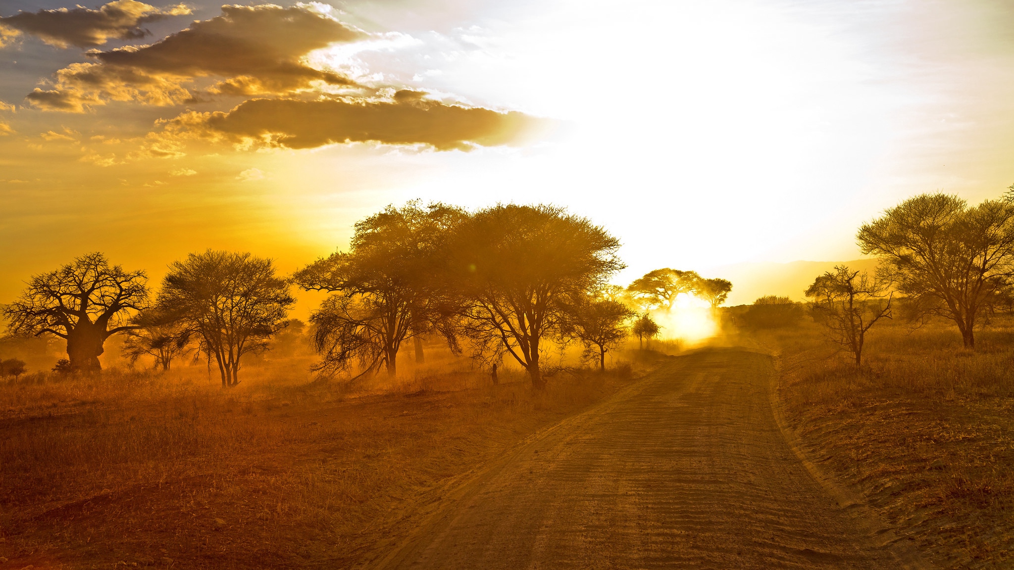 Wallpaper Africa Road Sunrise Sand Trees