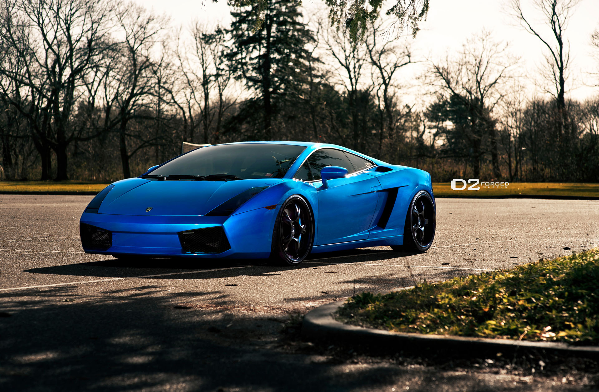 Blue Perfection From D2forged Lamborghini Gallardo Shoot