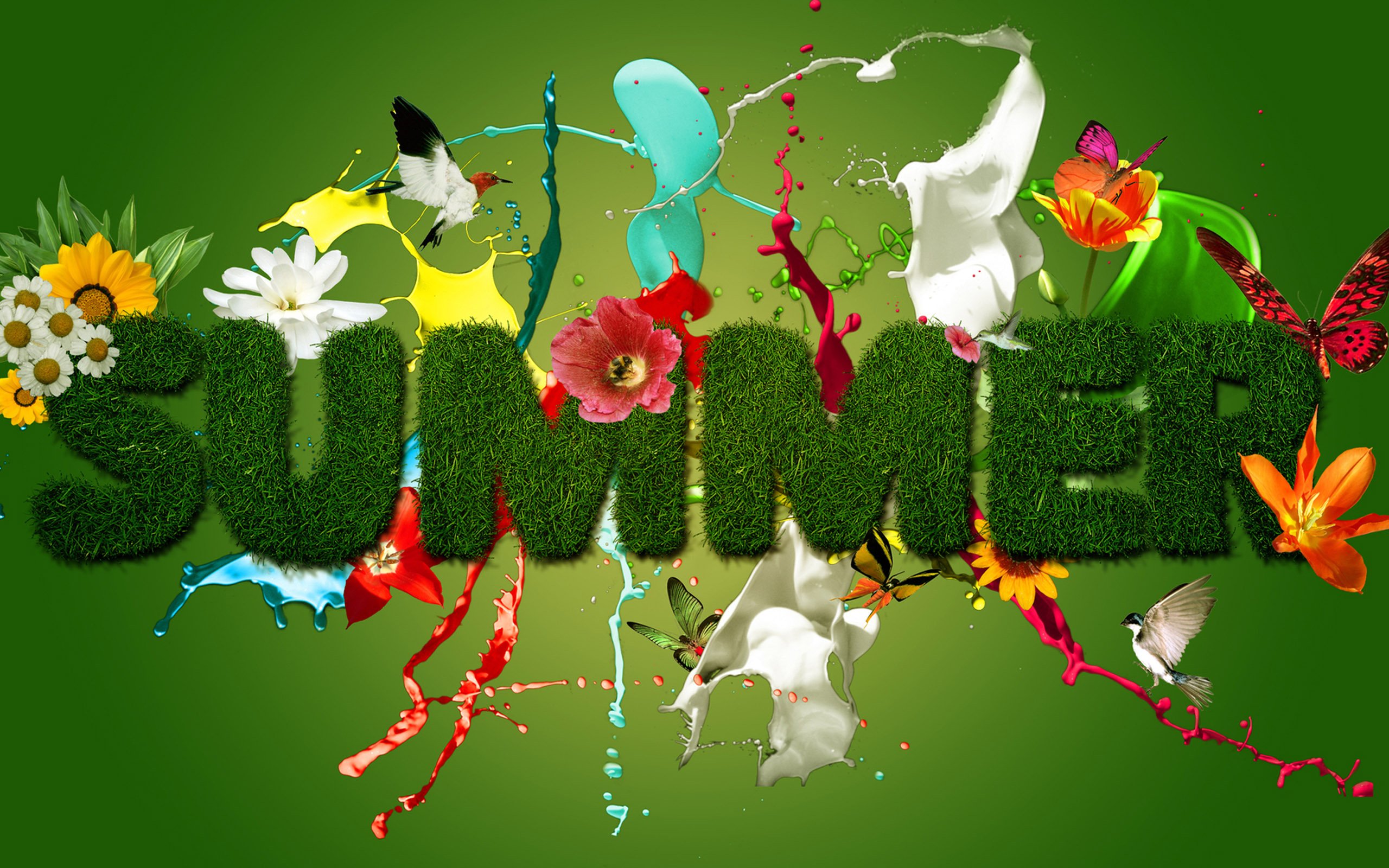 Summer Season Wishing Design Logo HD Wallpaper