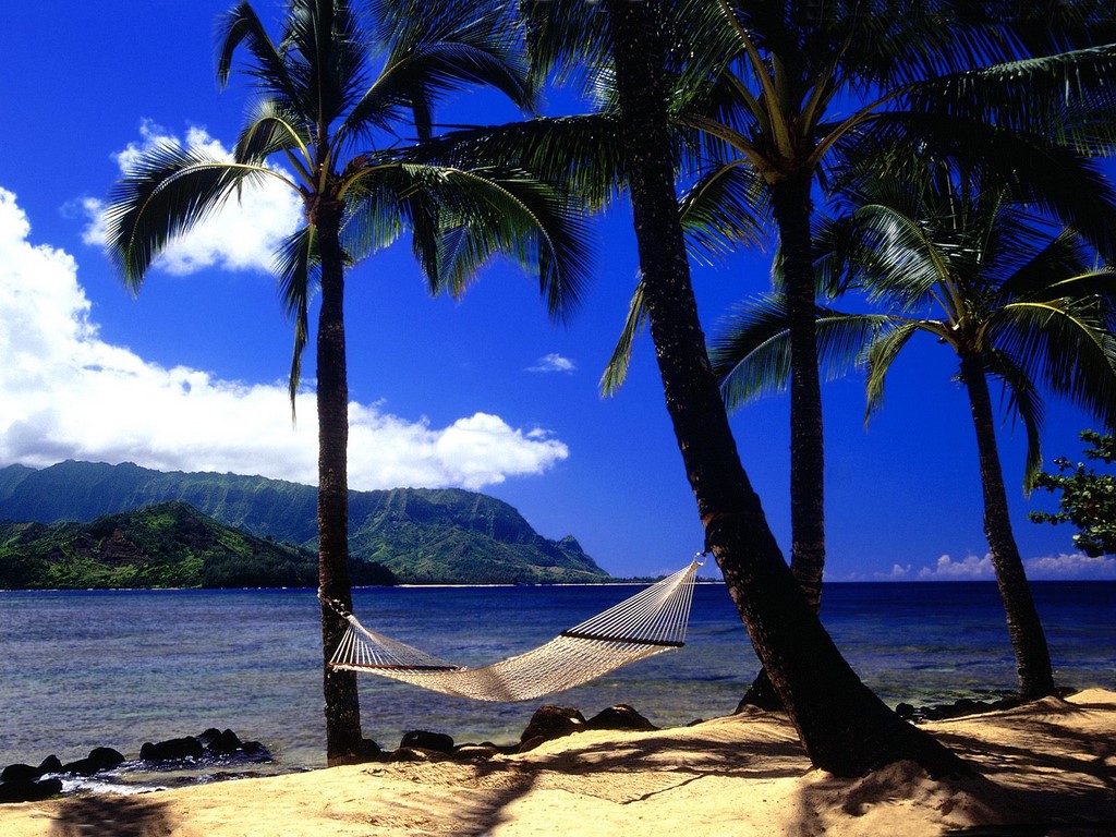 Afternoon Nap Kauai Hawaii