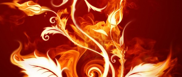 HD Fire Flower Wallpaper And Background iPhone