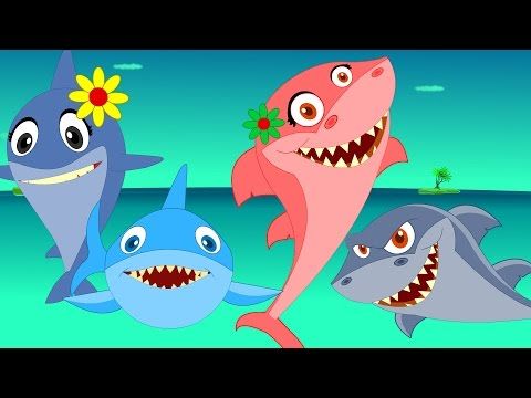 Sharks Children And Animals