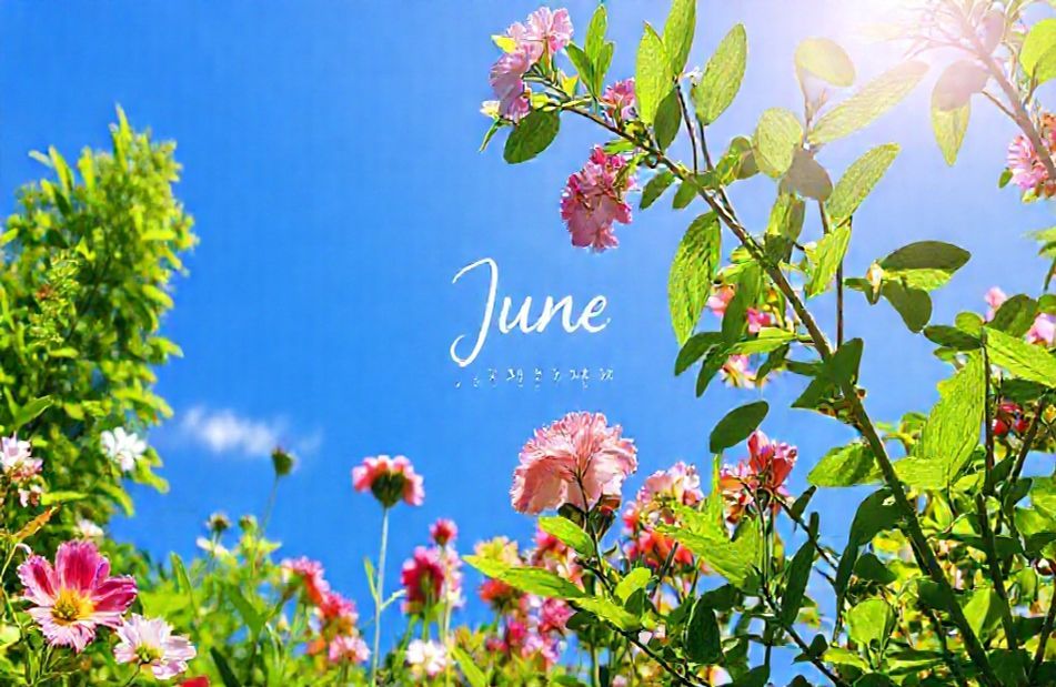 June Calendar Wallpaper