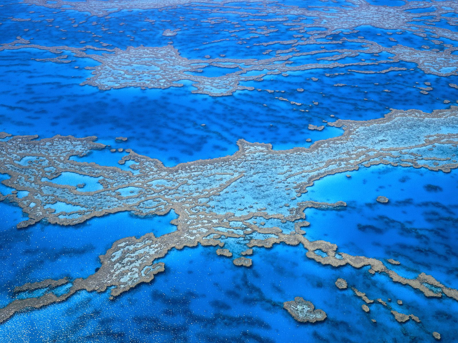 Great Barrier Reef Hintergrundbilder Frei Fotos