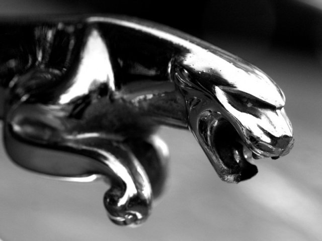 Slideshow Tapet Tapeta Jaguar Znak Kategorie Auta