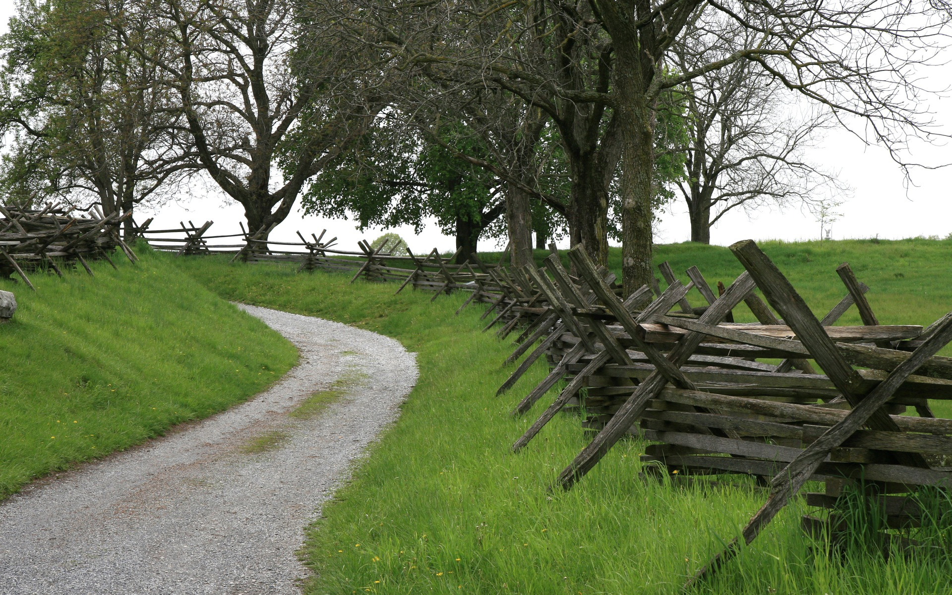 Fence Road Country Photo Wallpaper