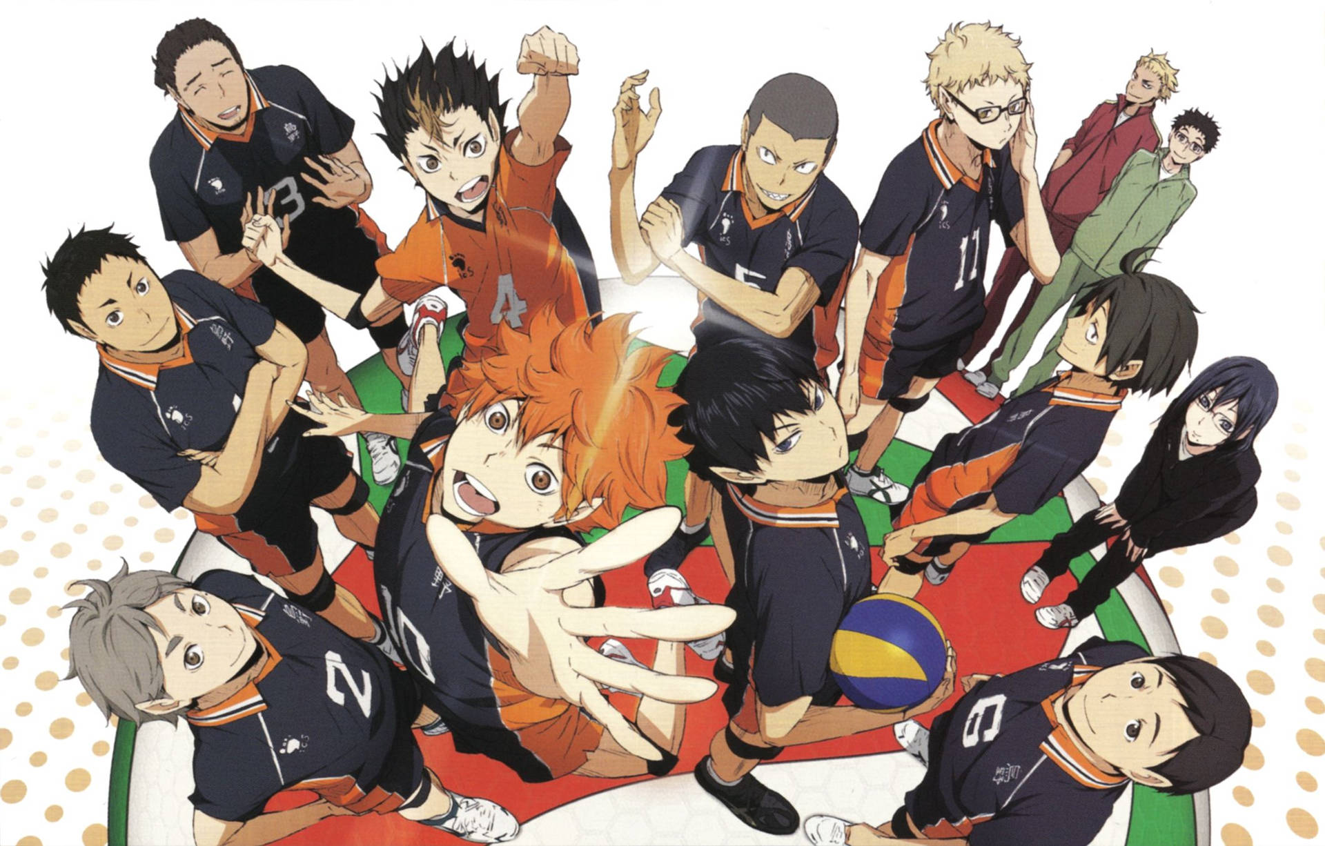 Haikyuu Teams Wallpaper