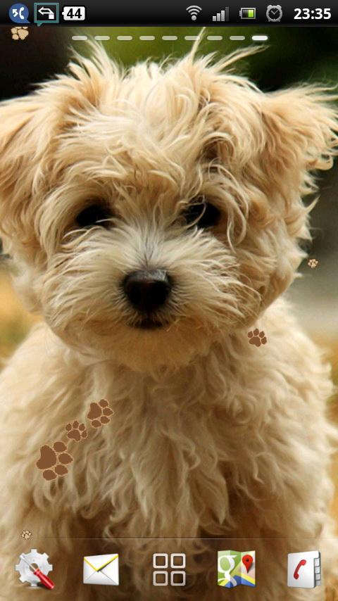 Cute Puppy Live Wallpaper Android Apps On Google Play