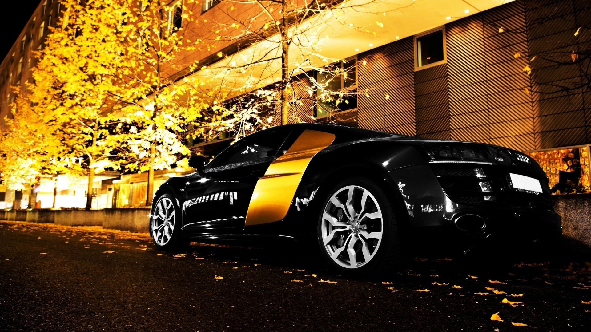 A sleek, black and gold Audi R8 sports car parked on a street at night, illuminated by the warm glow of streetlights reflecting off the surrounding autumn trees