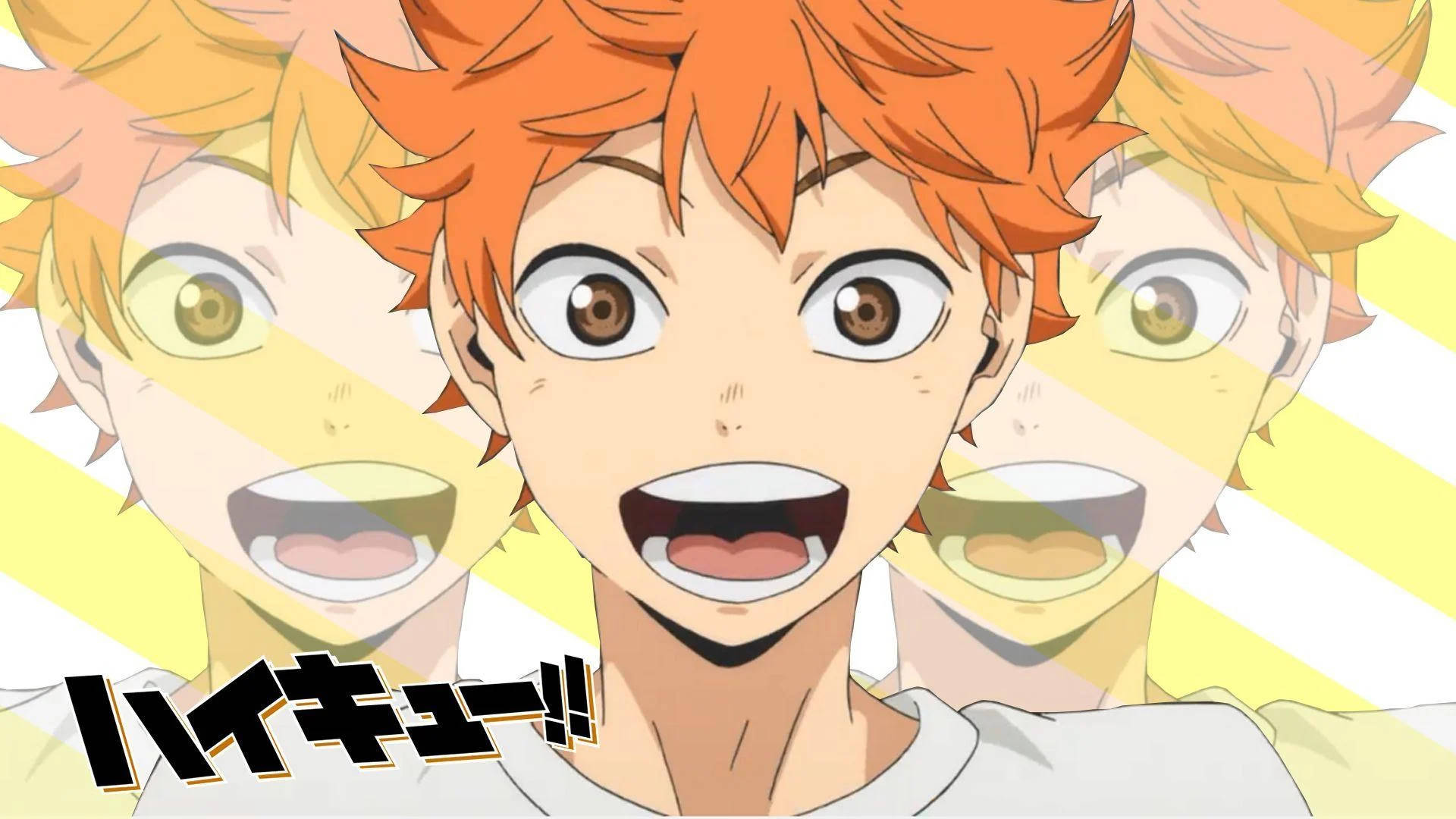 Shoyo Hinata Wallpaper