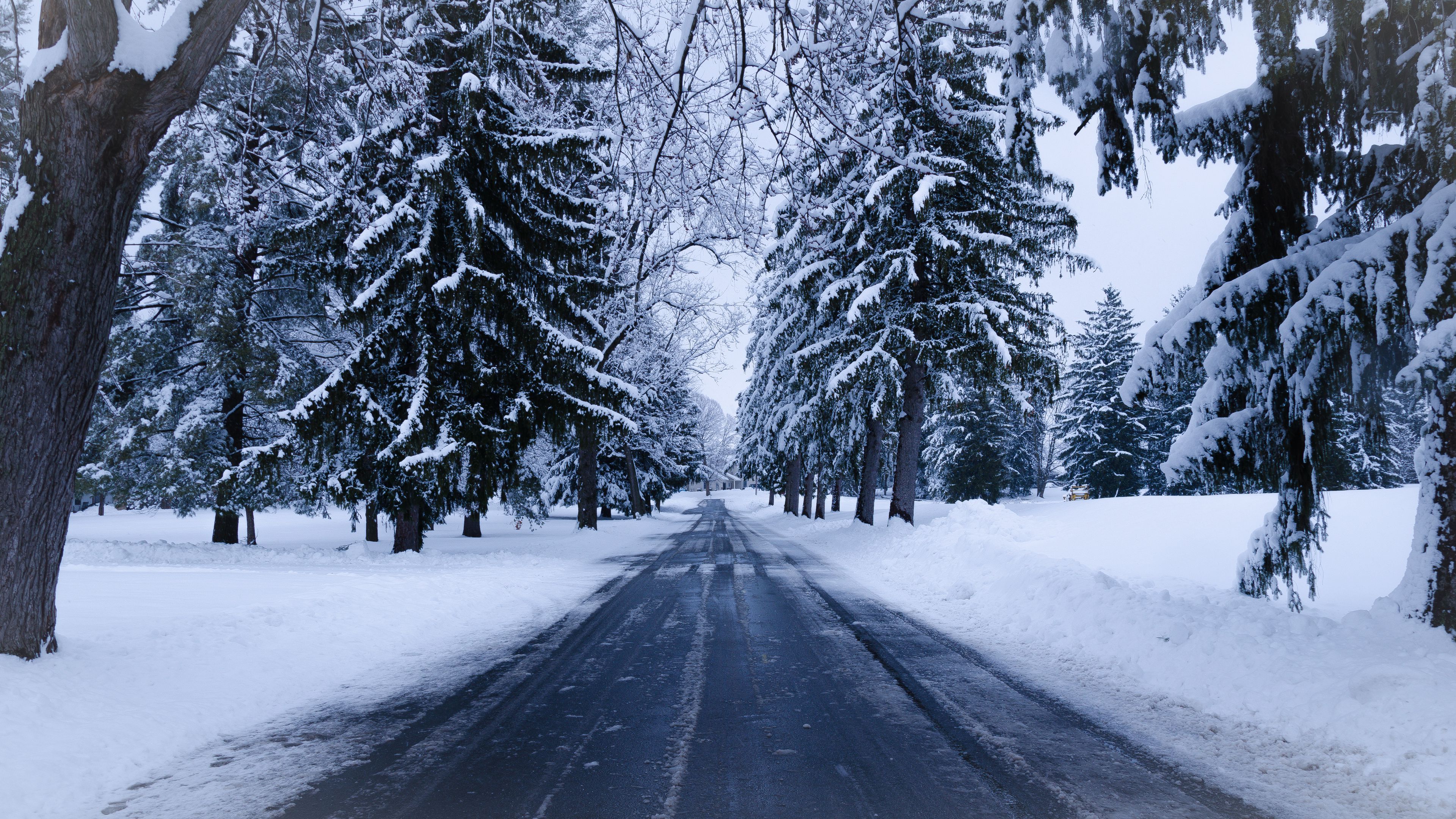 Winter Road Snow Trees Landscape 4k HD Wallpaper
