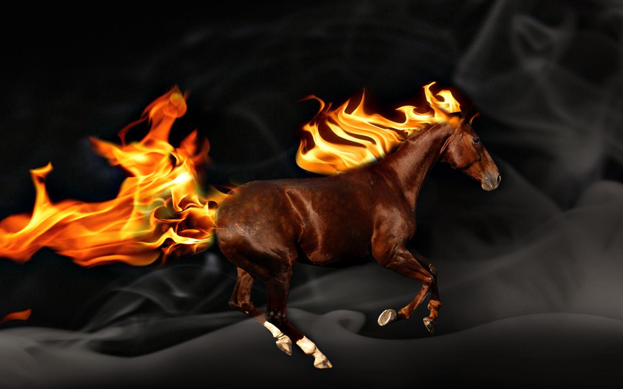 Fire Horse Awesome Wallpaper HD 1080p