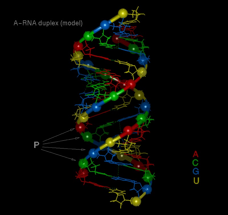 Bigbackground HD Background Dna Wallpaper High Resolution Html