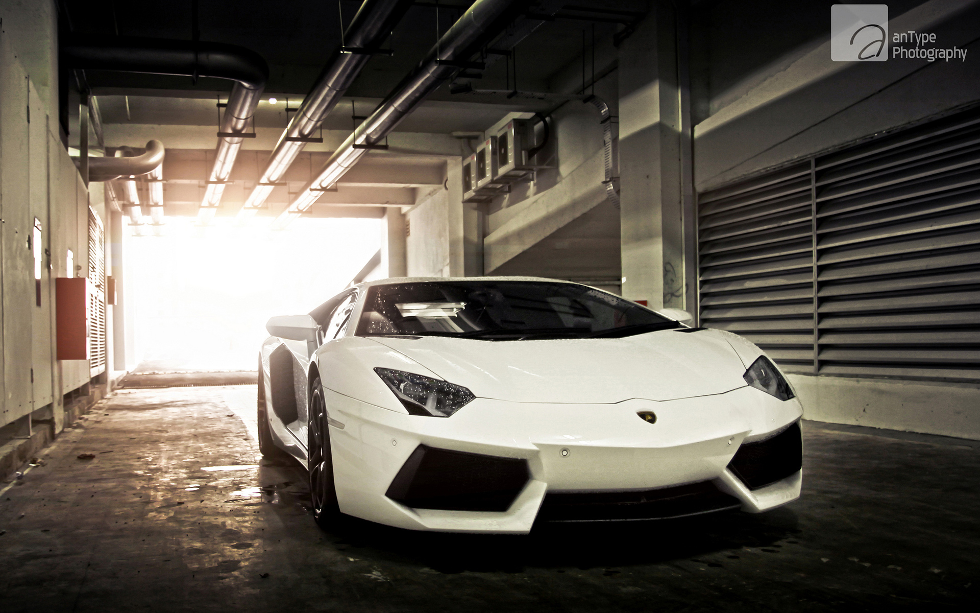 White Lamborghini Wallpaper Car