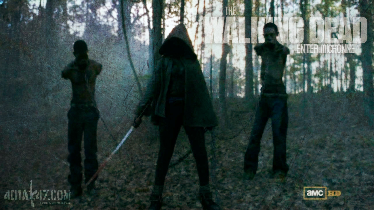 The Walking Dead Wallpaper Michonne With Zombie Slaves Jpg