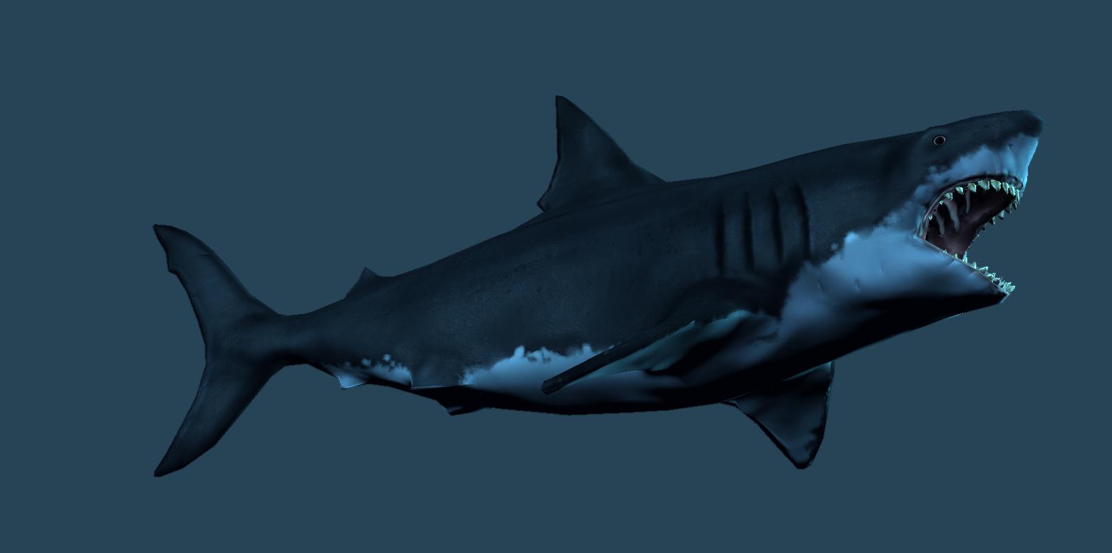 Wallpaper Desktop Megalodon Shark Sharks
