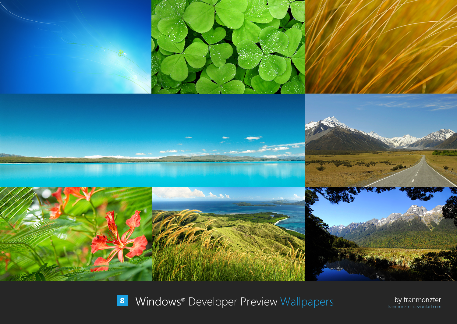 Windows Developer Preview Wallpapers by arcticpaco 1500x1063
