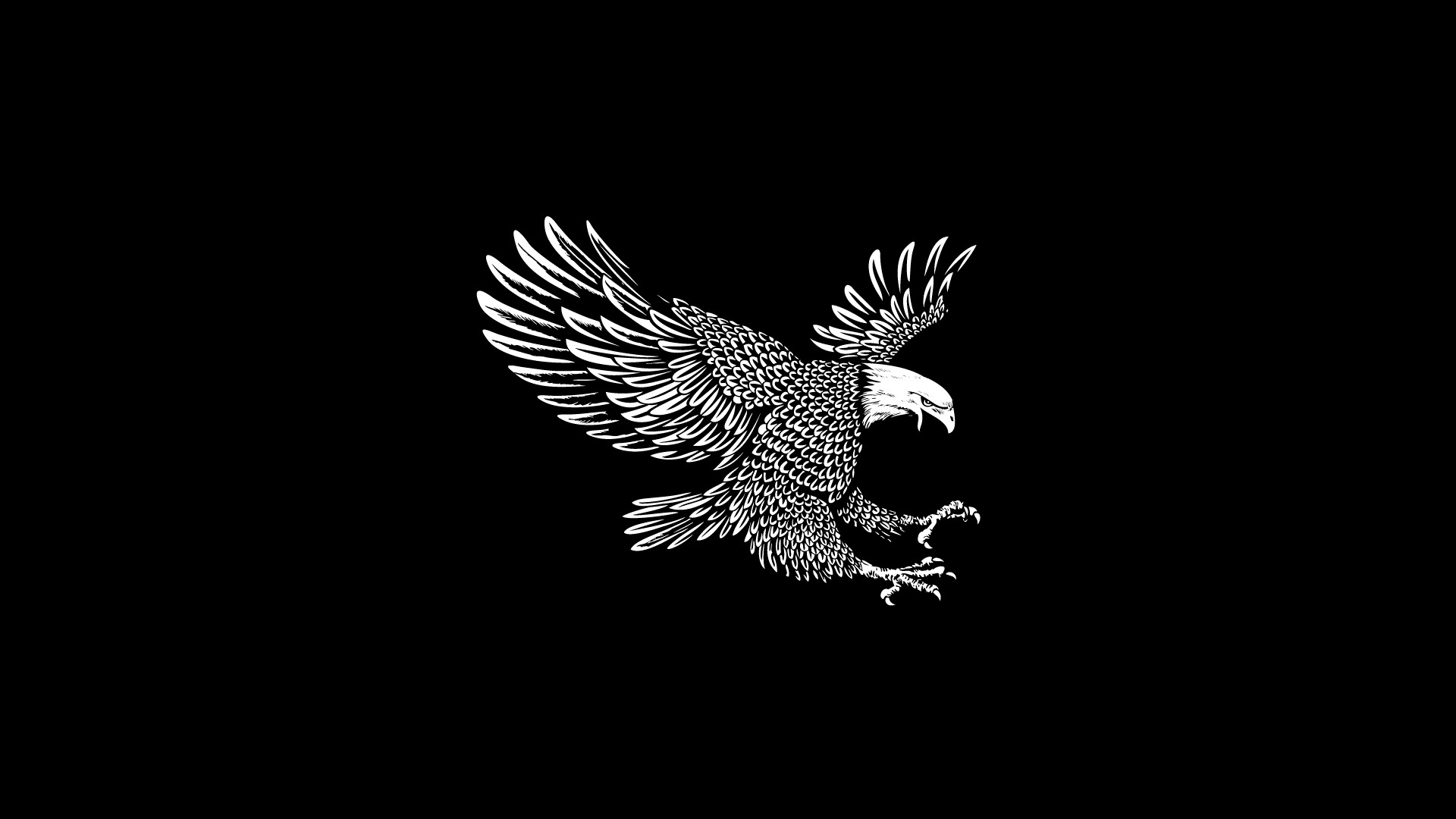 Wallpaper Eagle Wings Flight Black Background Art Picture
