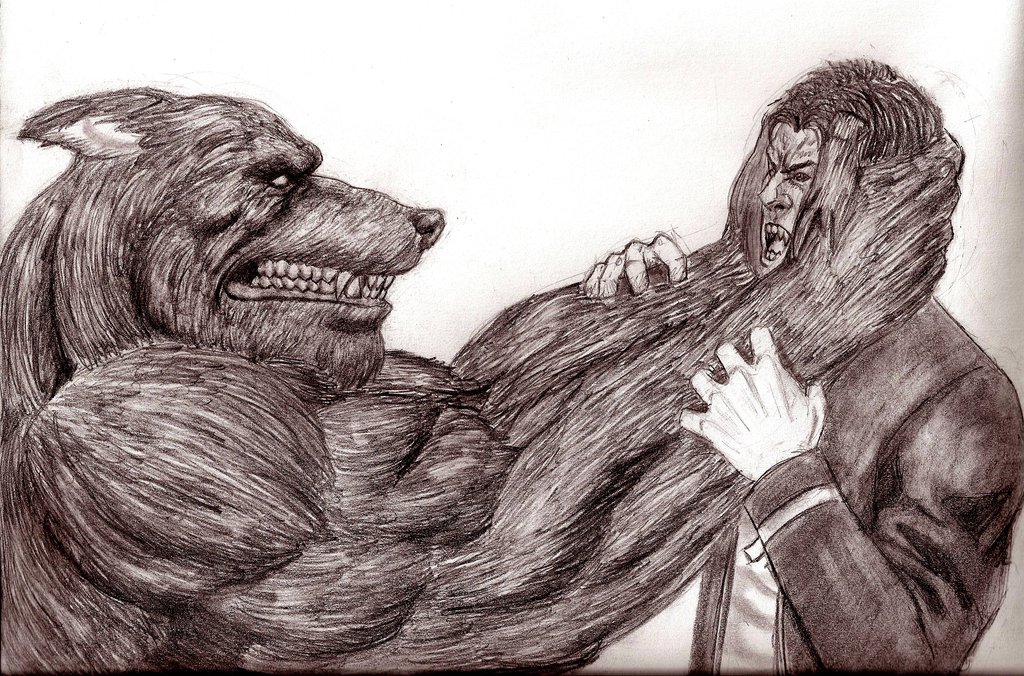 Werewolf Vs Vampire Wallpaper By