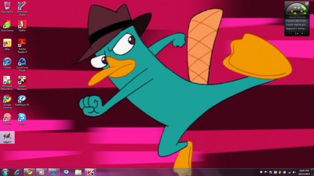 Baby perry the platypus HD wallpapers  Pxfuel