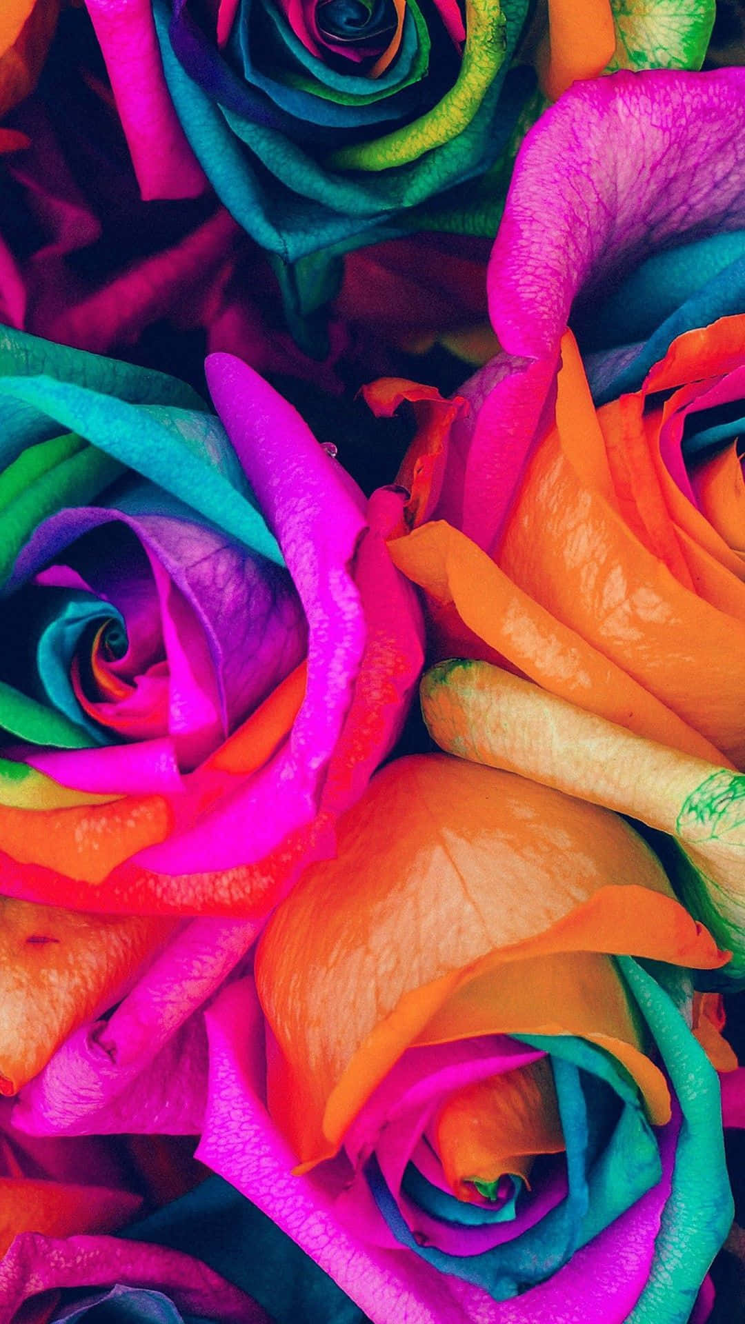 Rainbow Aesthetic Wallpaper