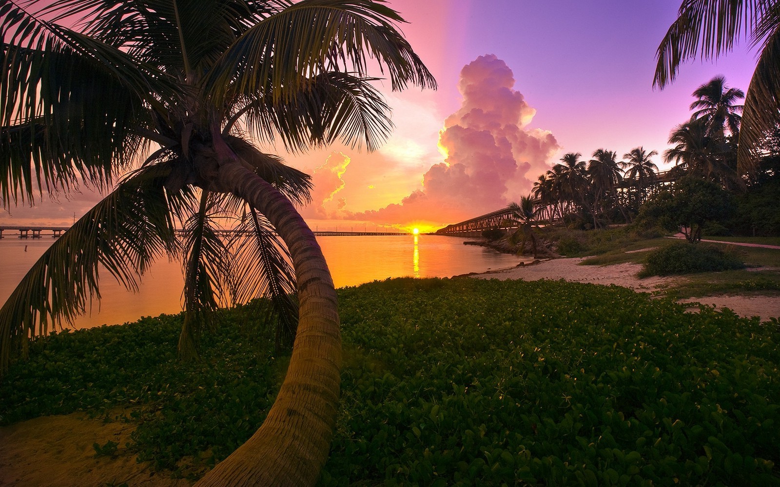 Landscape Nature Beach Sunset Palm Trees Sea Sky Clouds