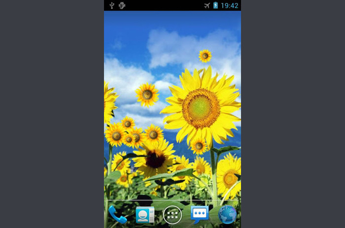 Download the program Sunflower Live Wallpaper Wallpaper for Android
